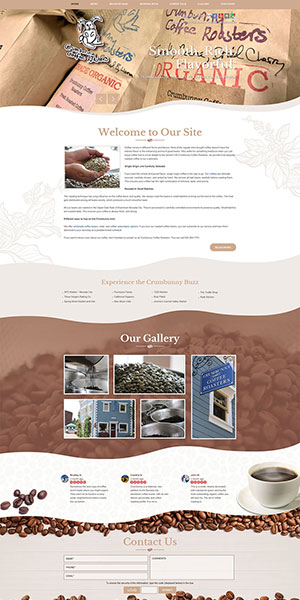 Custom Web Site Designs